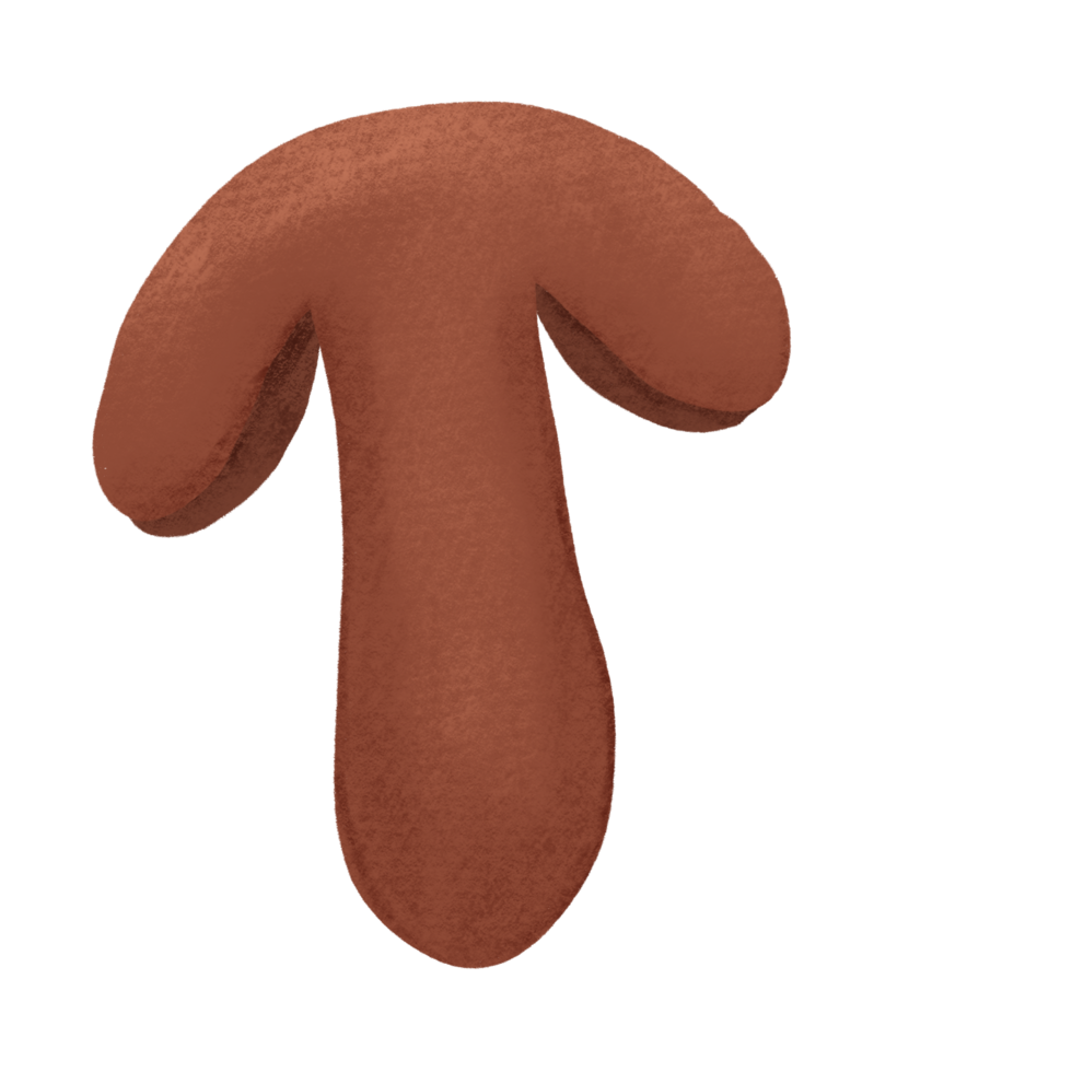 A brown mushroom with two branches like a cookies png
