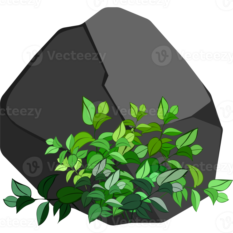 Stones or black coal from plants png