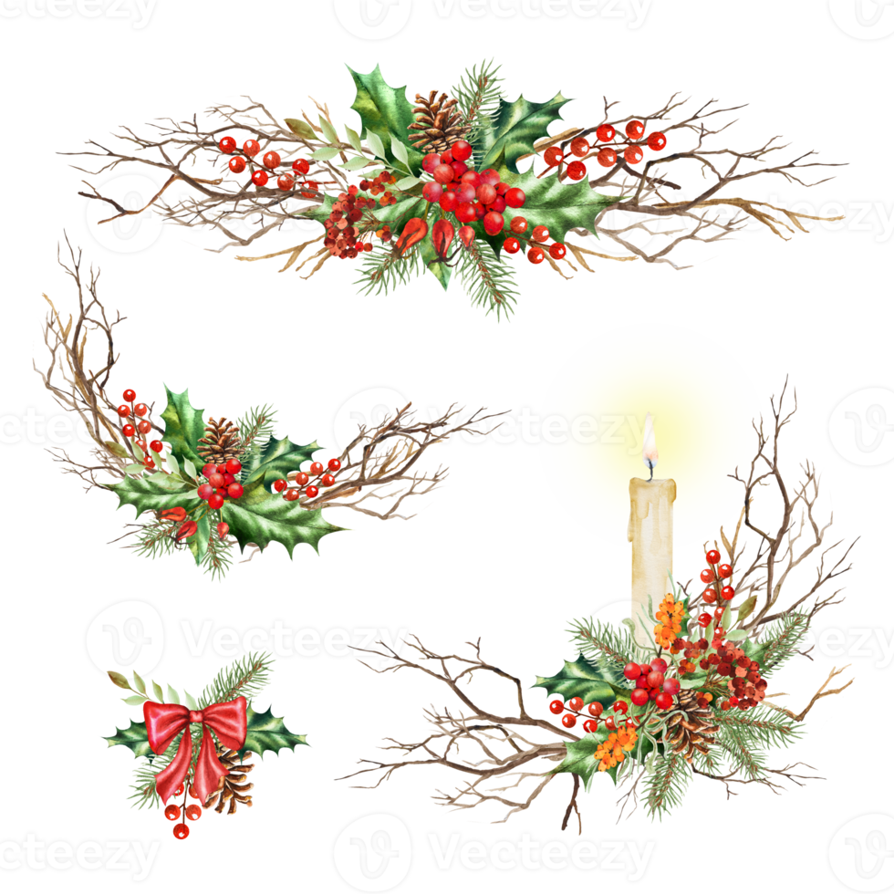 Set of Watercolor illustrations of New Year's compositions from fir branches, holly, rowan, branches. Hand drawn to decorate cards, frames, advertisements, notices, etc. png