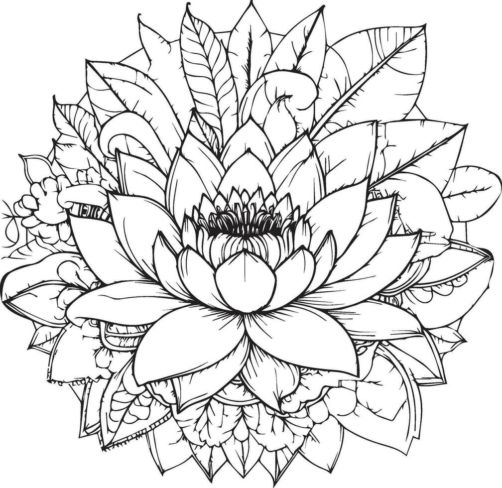 Nymphaea water lily drawings, outline water lily drawing, outline water lily flower drawing, black and white water lily drawing, sketch water lily drawing, hand drawn sketch water lily drawing vector