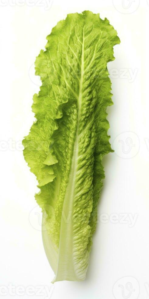 AI generated Lettuce isolated on white background. AI Generated photo