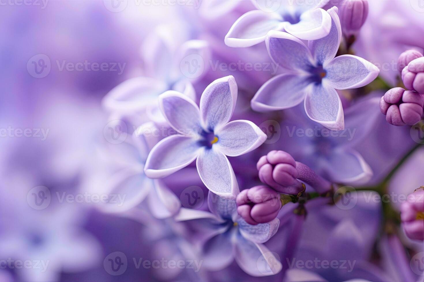 AI generated Lilac blossom macro background with copy space. AI Generated photo