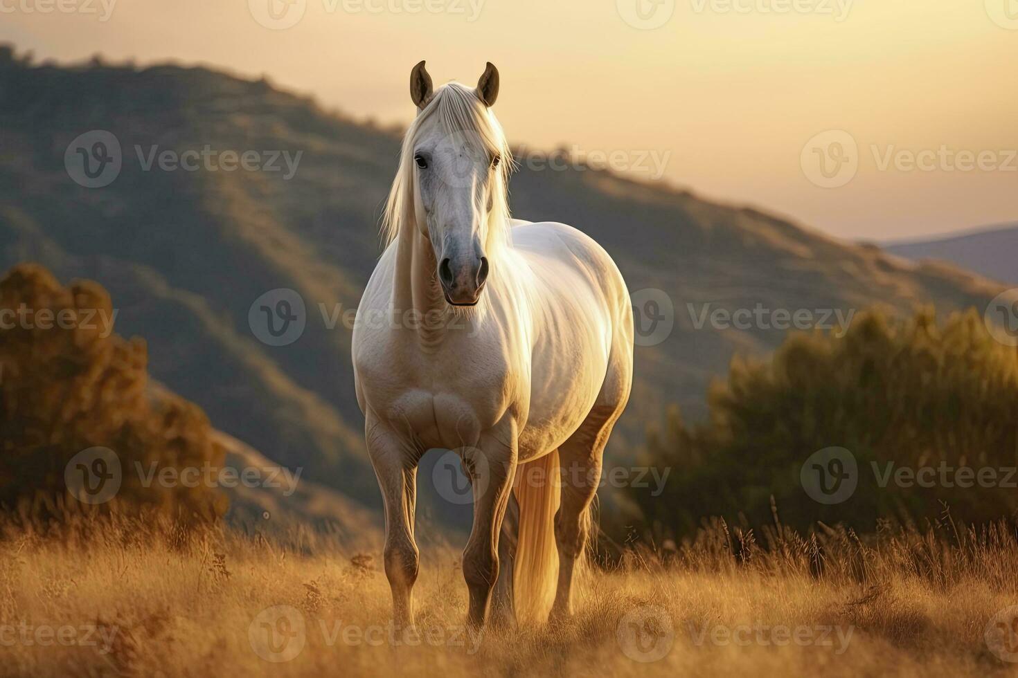 ai generado blanco caballo o yegua en el montañas a puesta de sol. ai generado foto