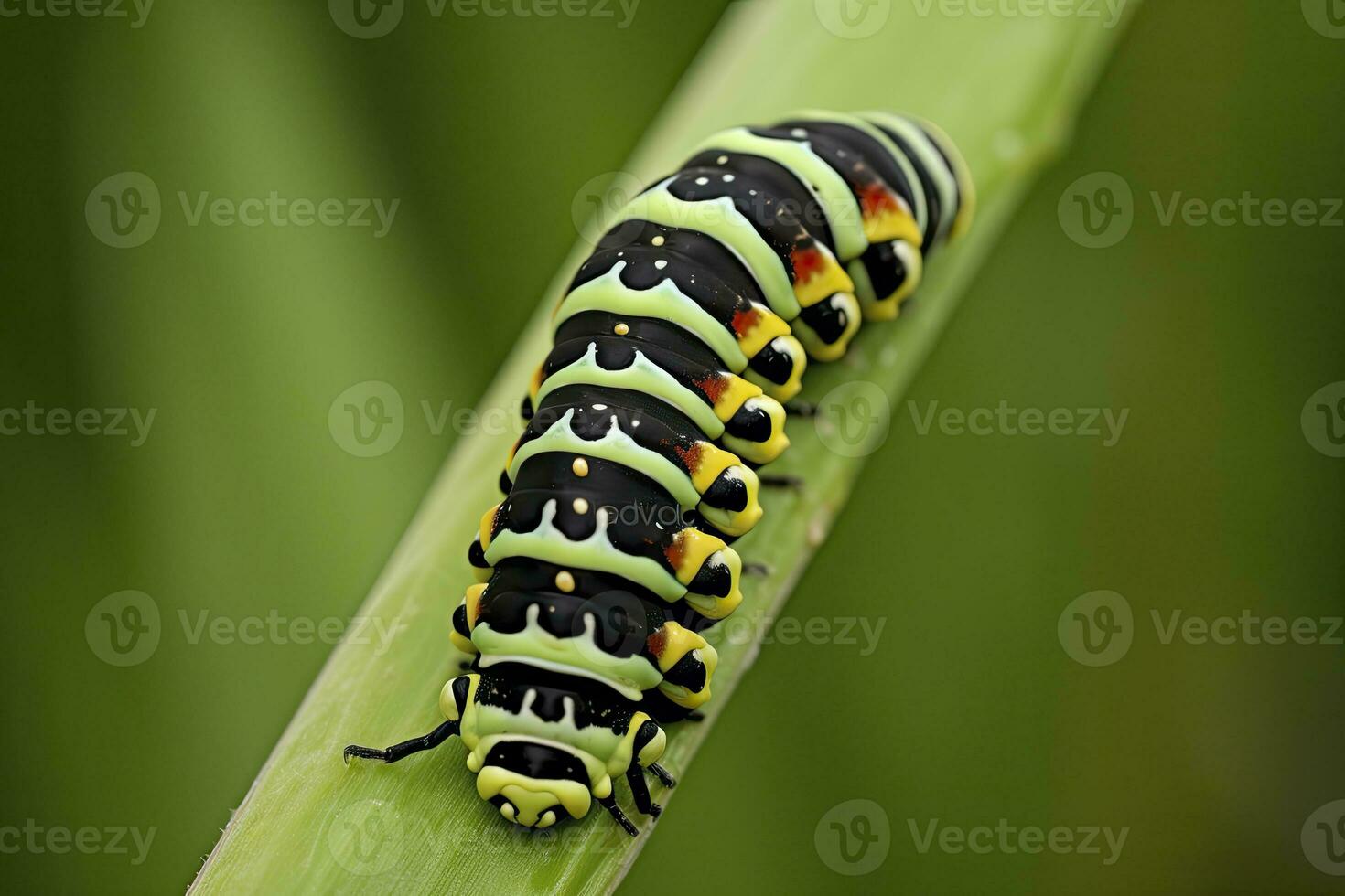 ai generado oruga encajar mariposa. generado ai. foto