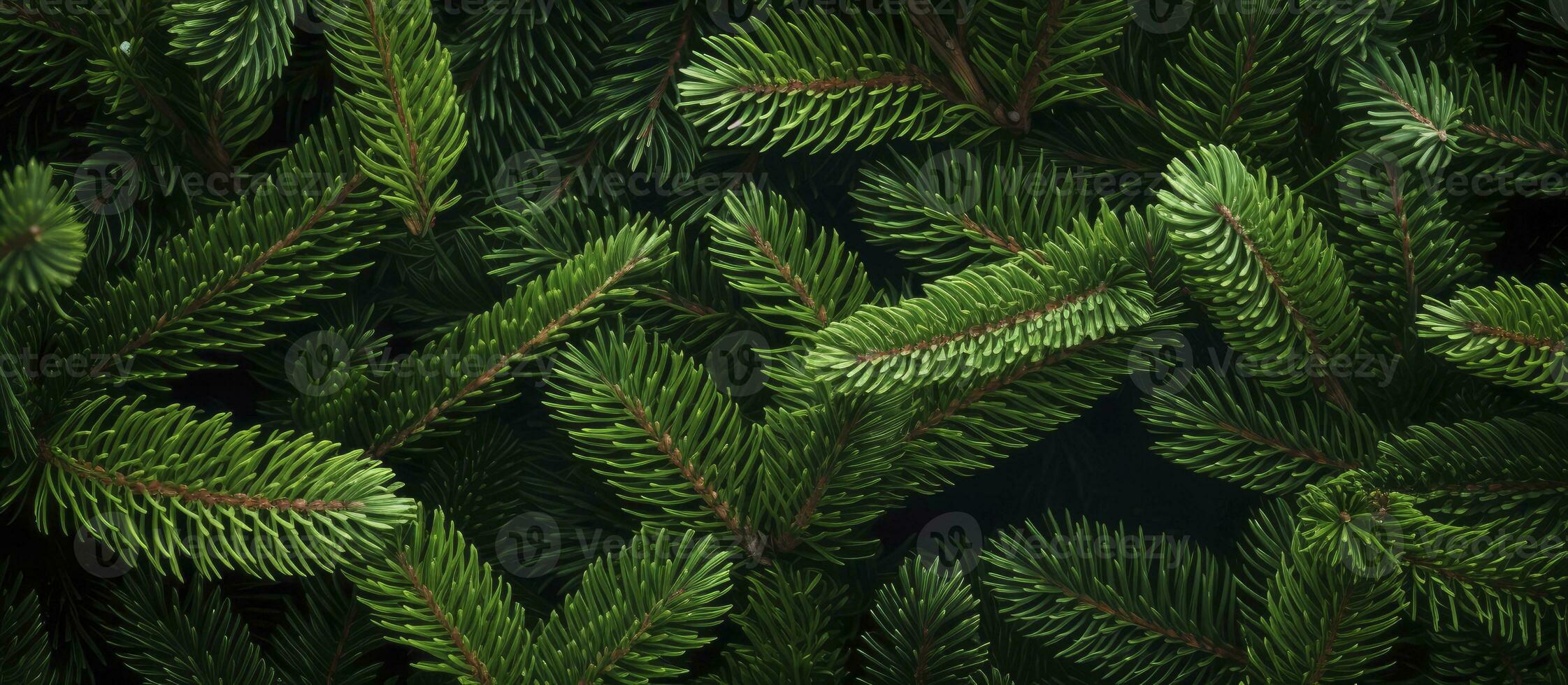 AI generated Christmas tree branches on a natural background. AI Generated photo