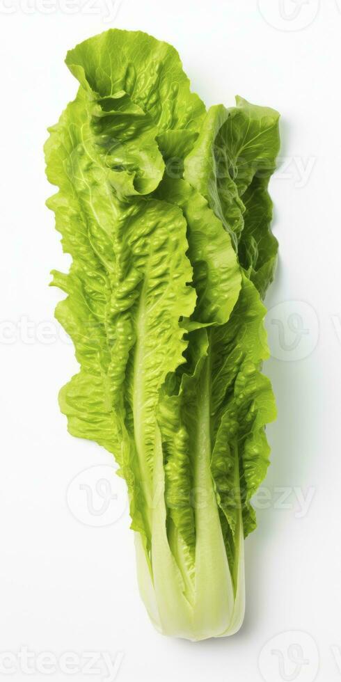 AI generated Lettuce isolated on white background. AI Generated photo