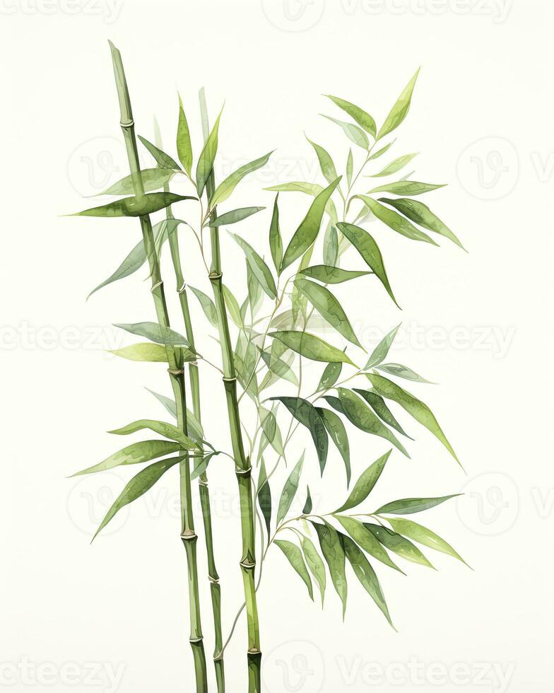 AI generated Watercolor bamboo clipart isolated on white background. AI Generated photo