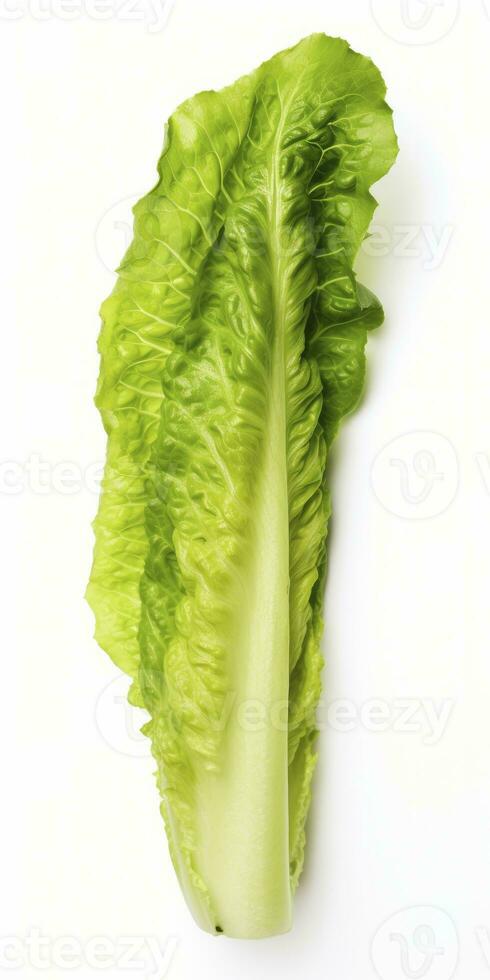 AI generated Lettuce isolated on white background. AI Generated photo