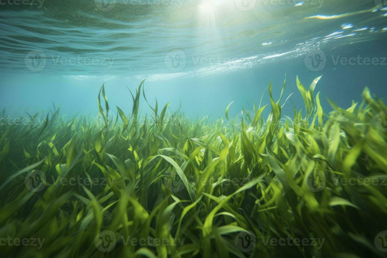 AI generated Underwater view of a group of seabed with green seagrass. AI Generated photo