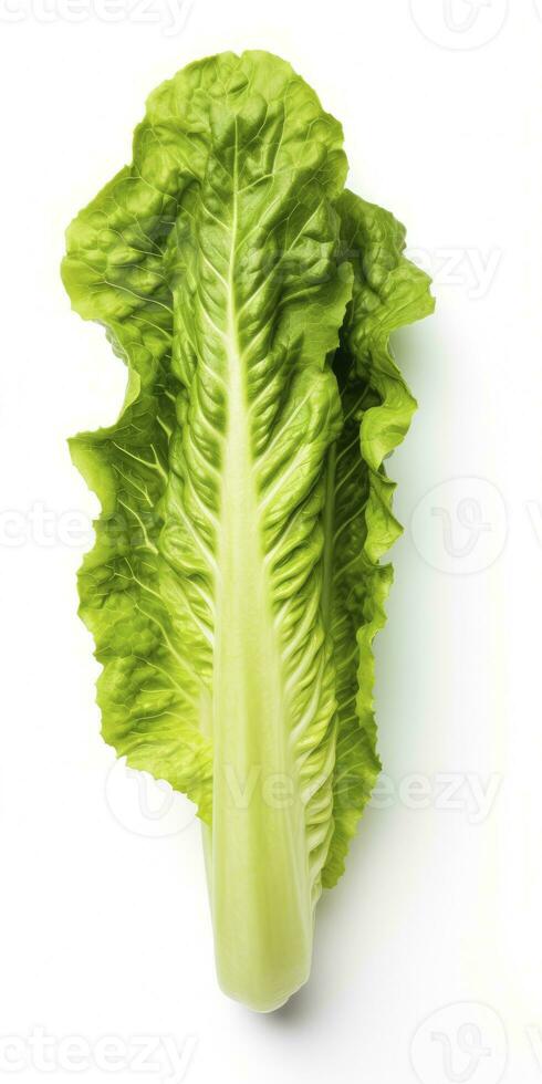 AI generated Lettuce isolated on white background. AI Generated photo