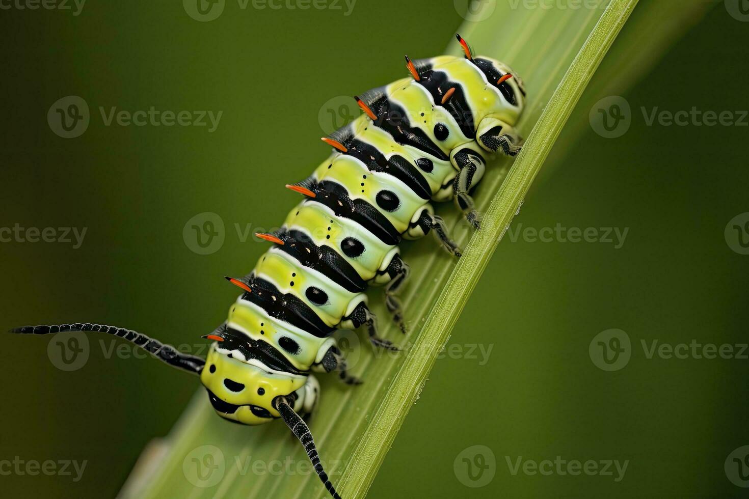 ai generado oruga encajar mariposa. generado ai. foto