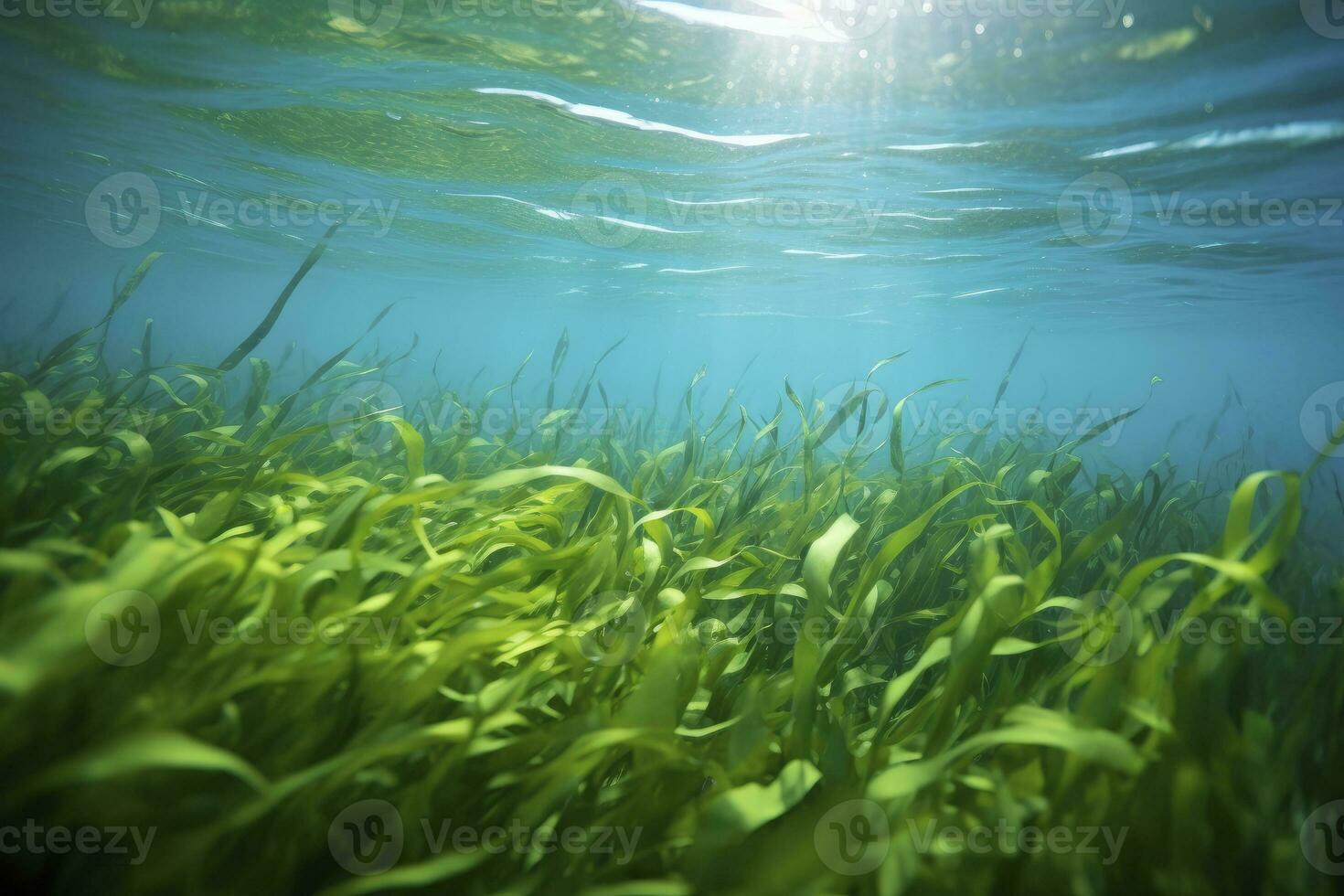 AI generated Underwater view of a group of seabed with green seagrass. AI Generated photo