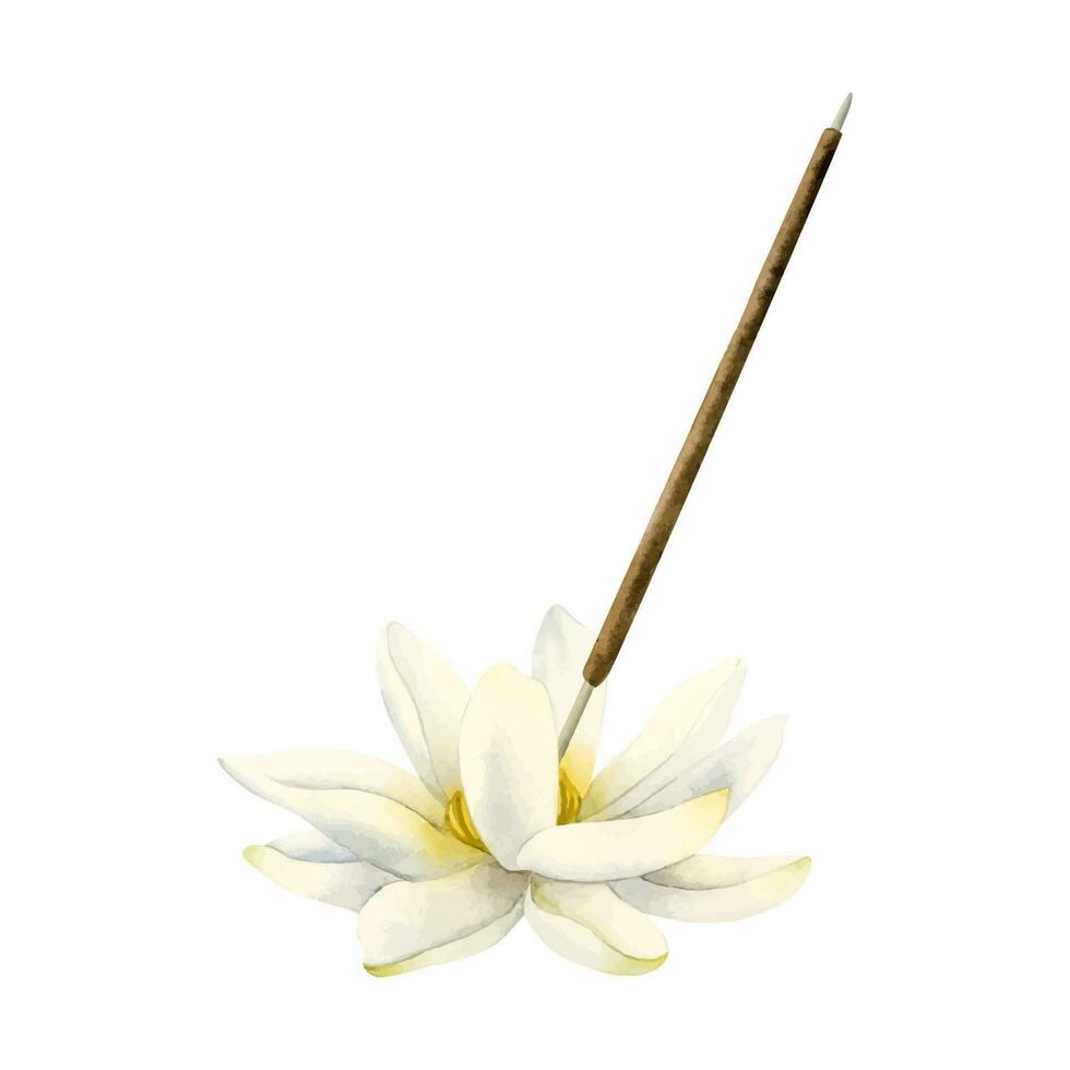 Lotus flower aroma stick stand watercolor sketch vector