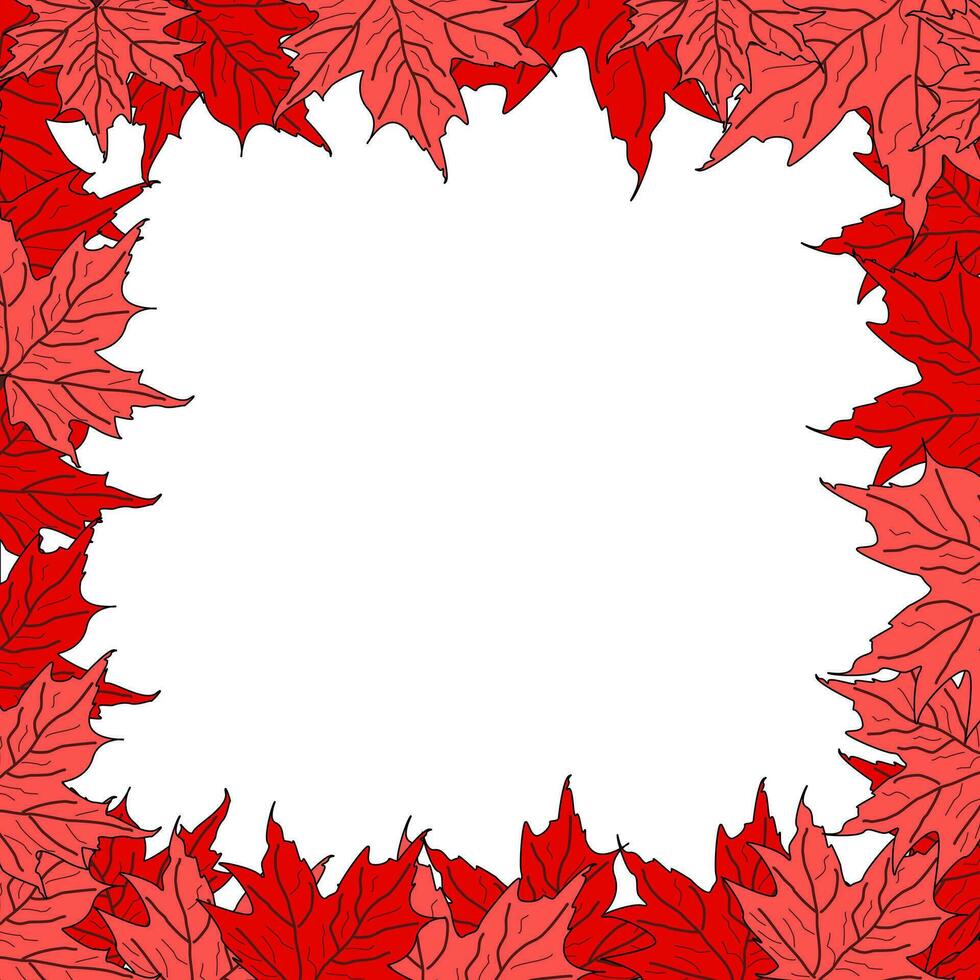 autumn flat maple leaves on white background with copy space vector