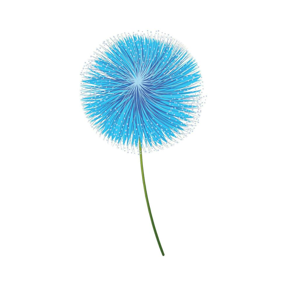 Vector blue allium flower on white background