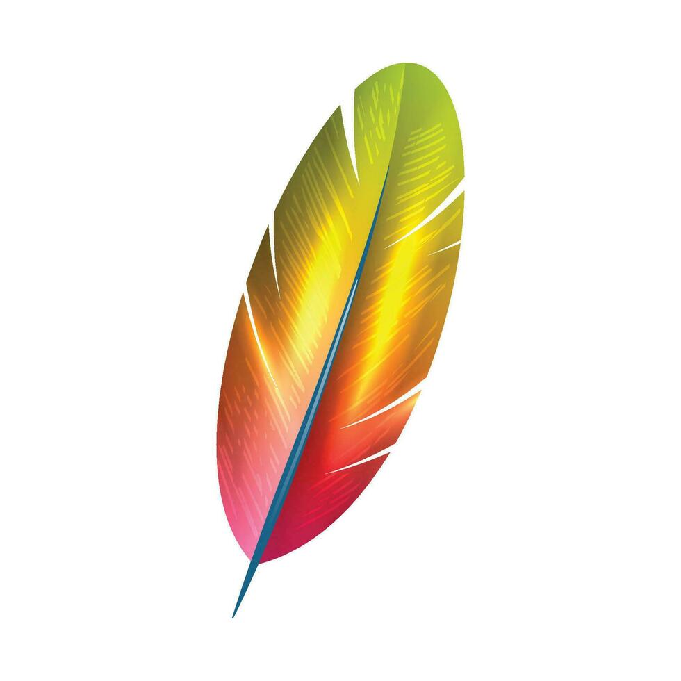 Vector colorful feathers illustration on white