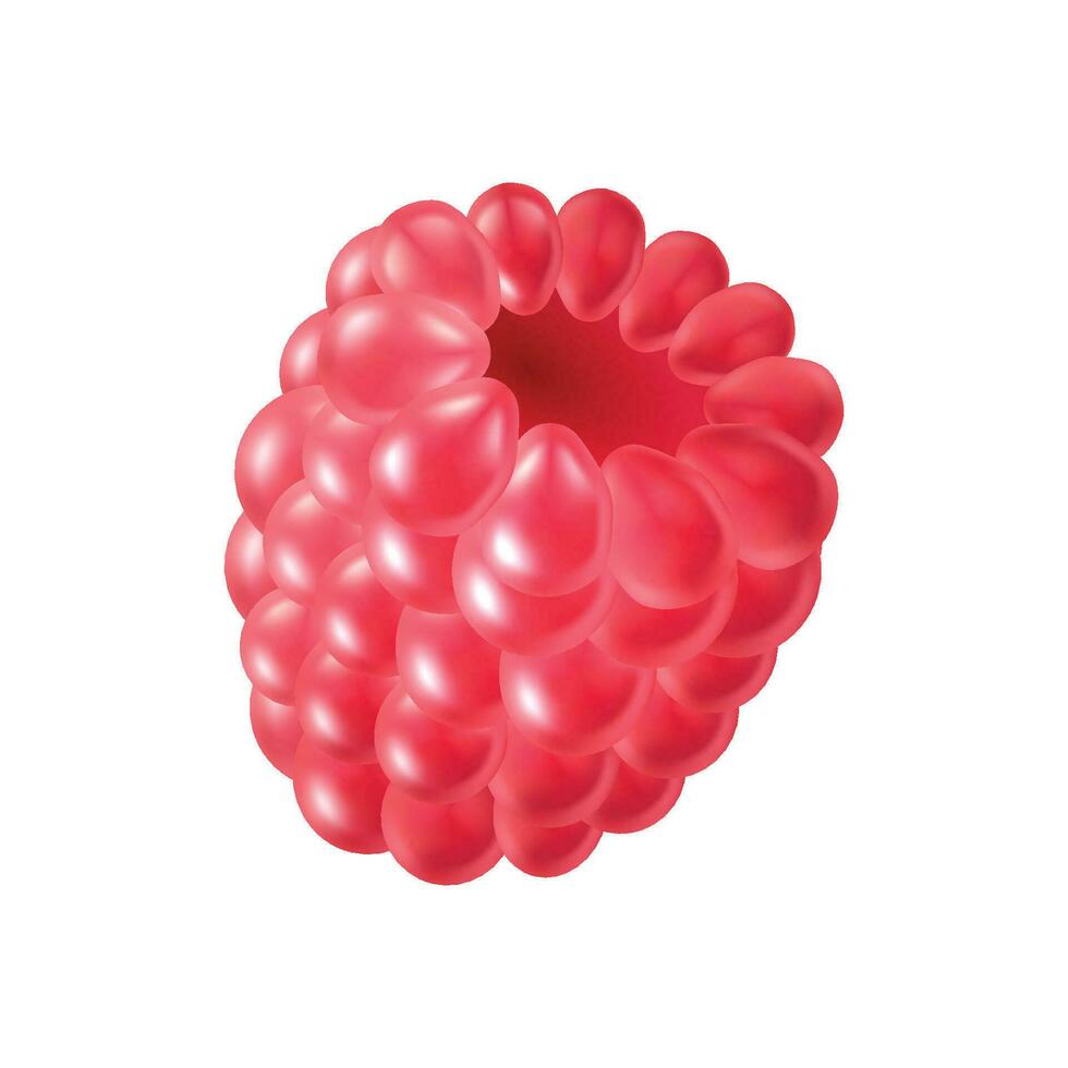 vector realistic red ripe raspberries isolated on background