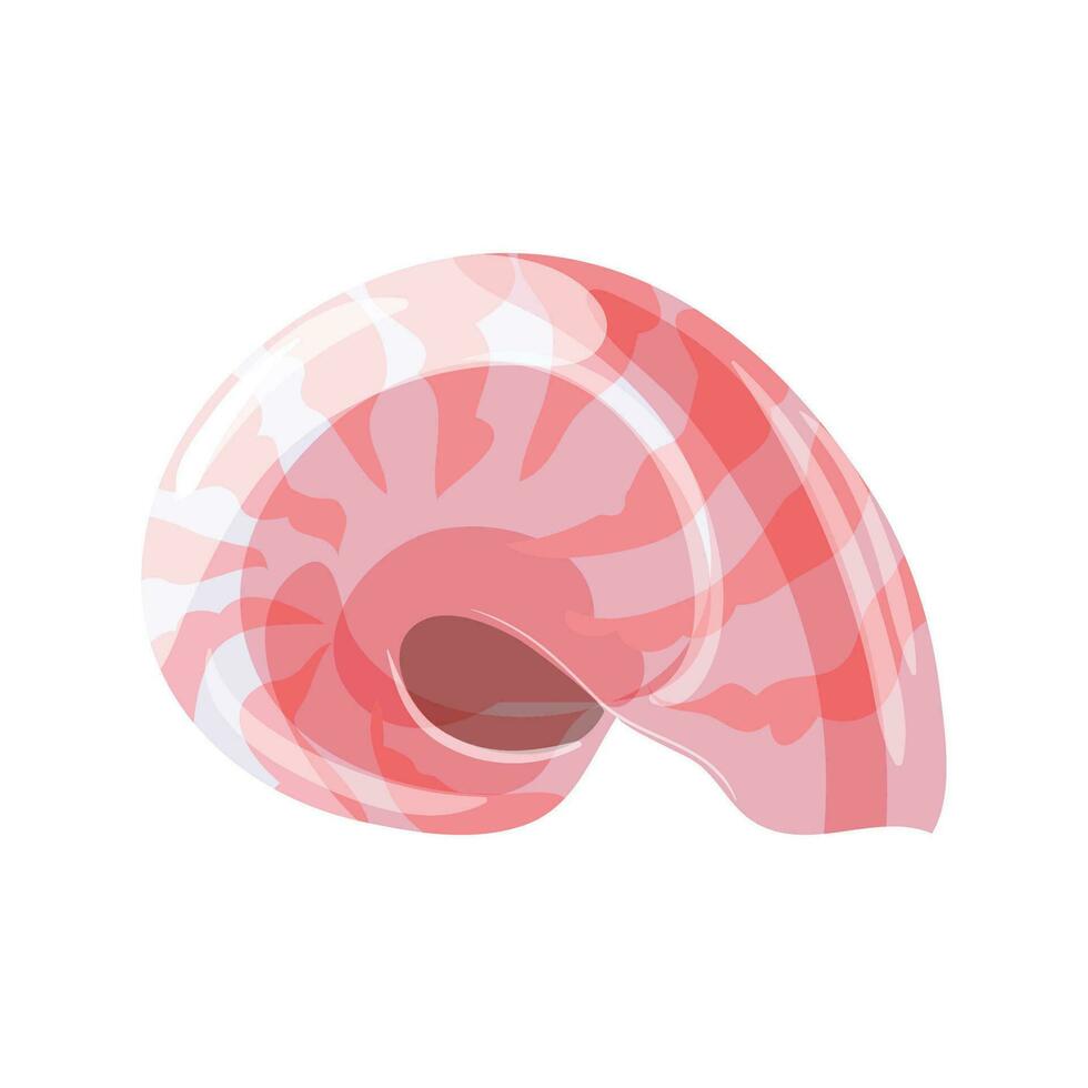 vector conchas marinas ilustración aislado en un blanco antecedentes