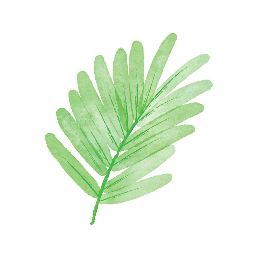 Vector hand painted watercolor green leaves and branches isolated on white