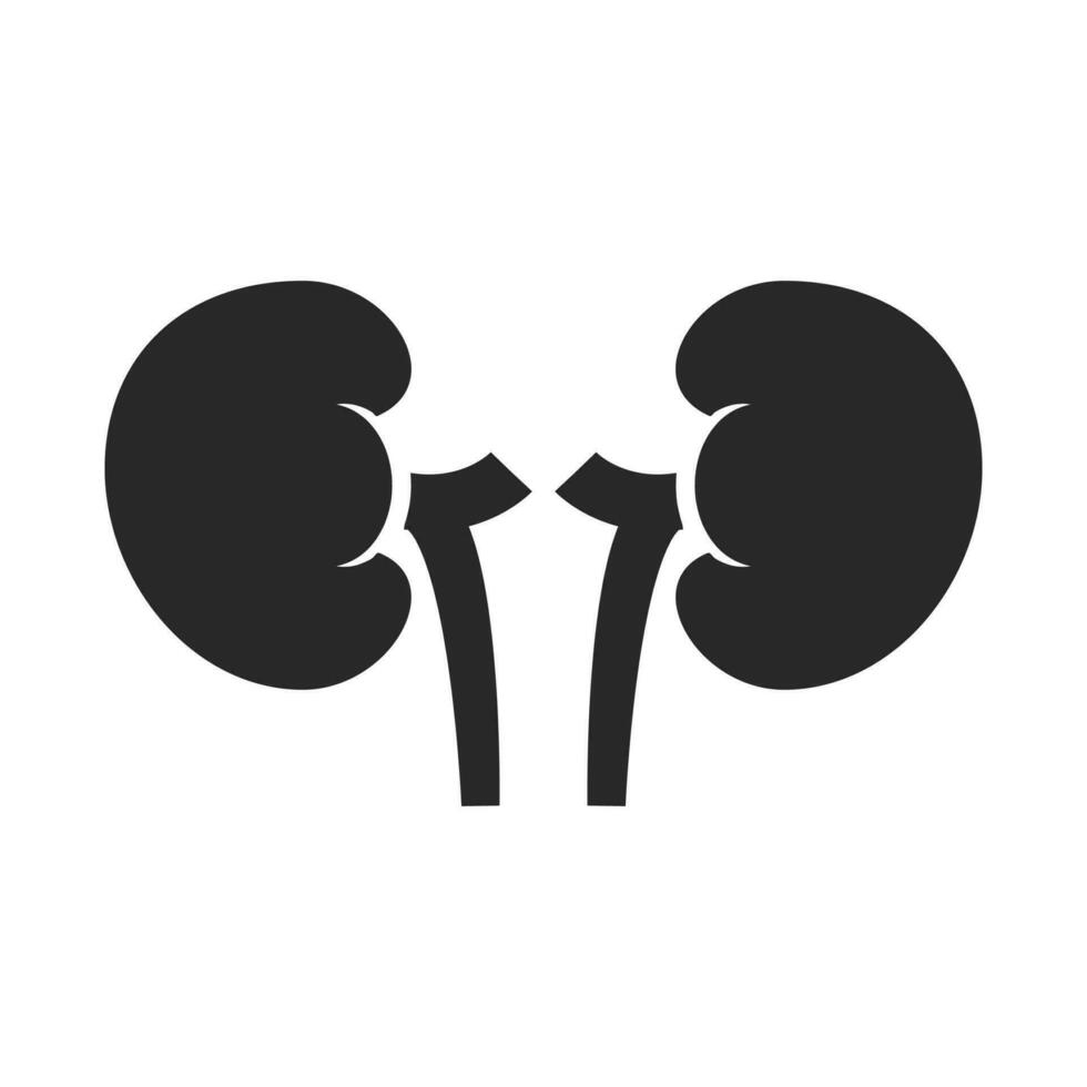 Vector kidney icon vector. urology logo design template