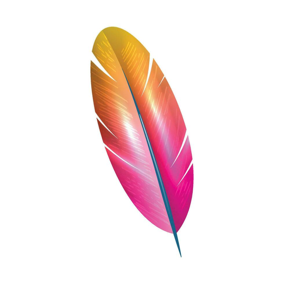 Vector colorful feathers background illustration