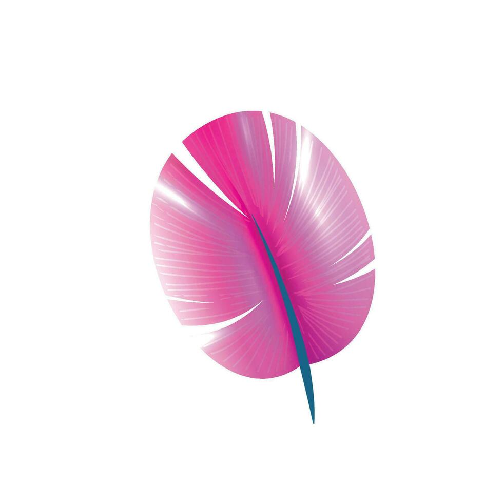 Vector pink feathers background illustration