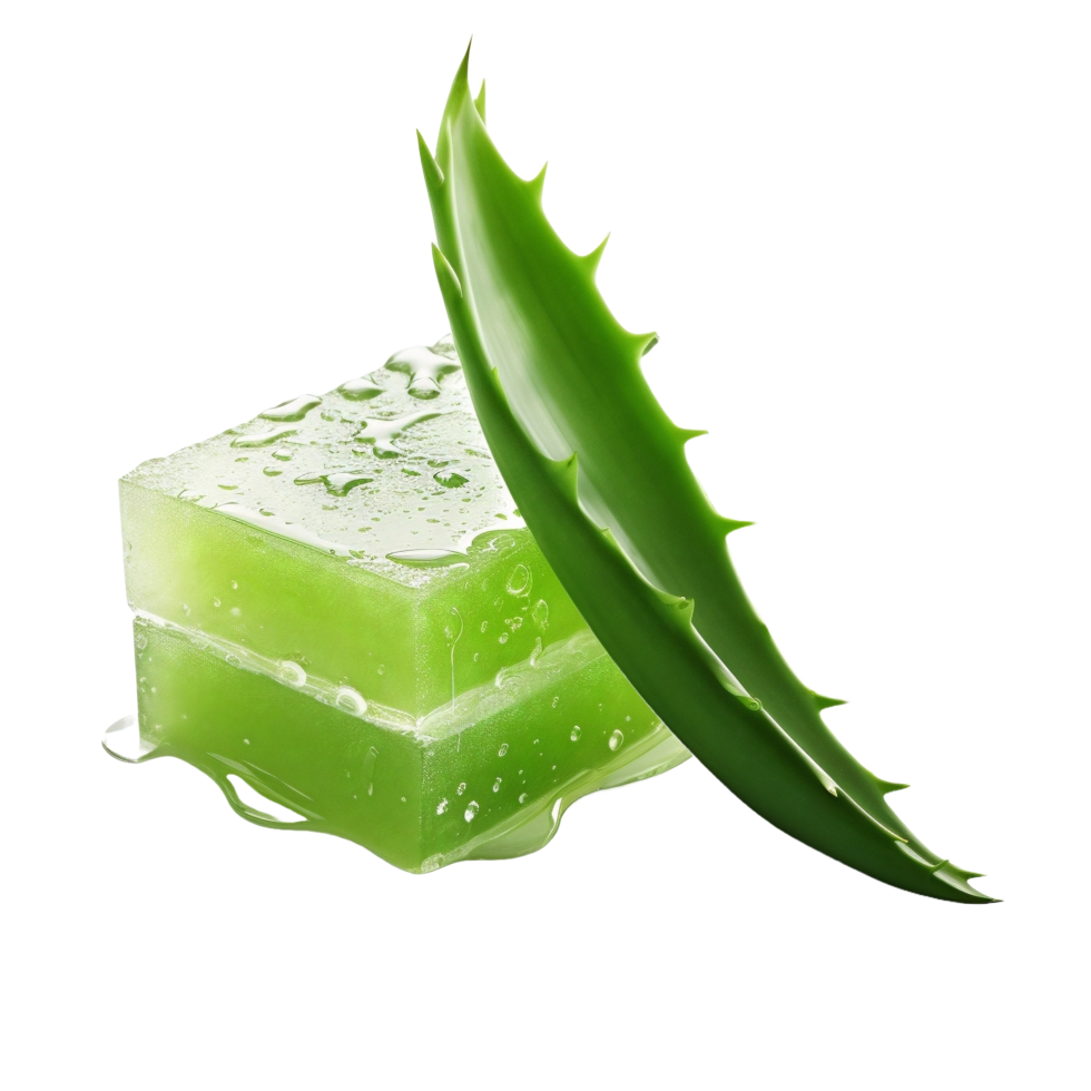 AI generated Fresh Aloe Vera Gel and Leaves on transparent  Background png