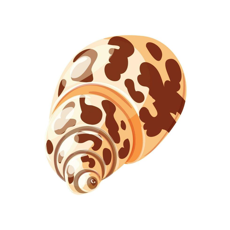 vector aquatic character set with many kinds of shells