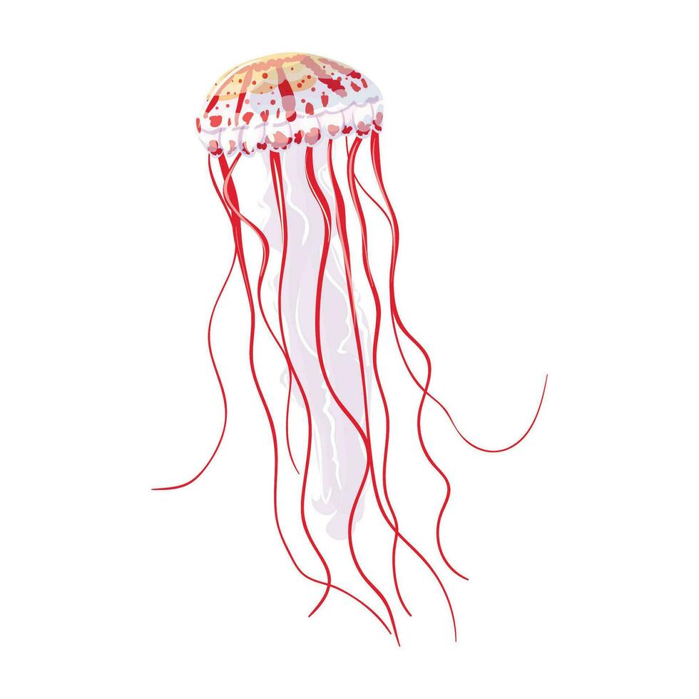 Vector jellyfish cartoon isolated on white