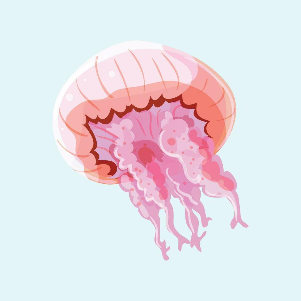 Vector pink jellyfish swiming sealife animal on white