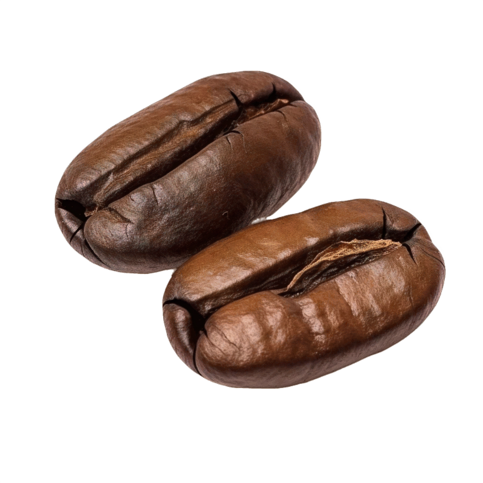 AI generated Close-Up of Two Roasted Coffee Beans Isolated png