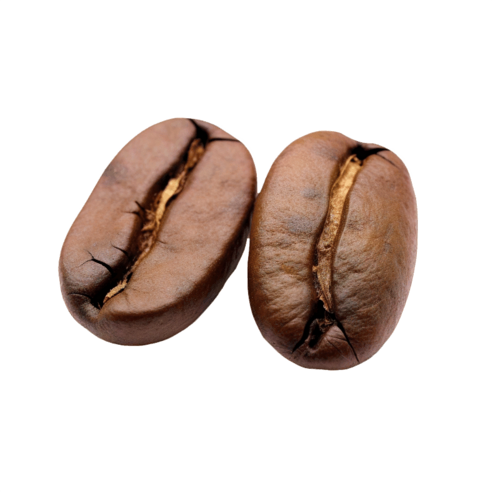 AI generated Close-Up of Two Roasted Coffee Beans Isolated png