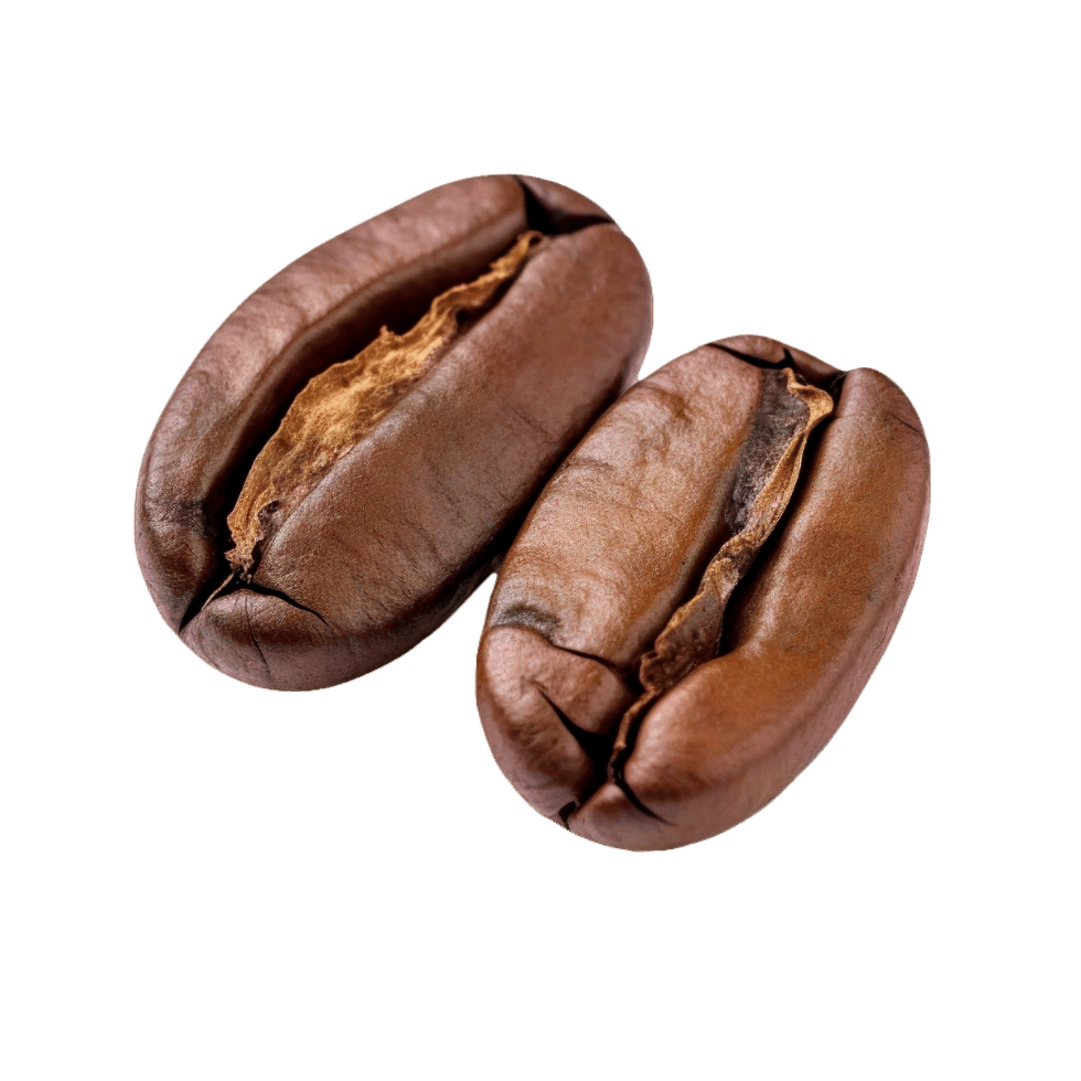 AI generated Close-Up of Two Roasted Coffee Beans Isolated png