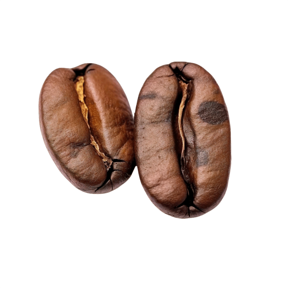 ai genererad närbild av två rostad kaffe bönor isolerat png