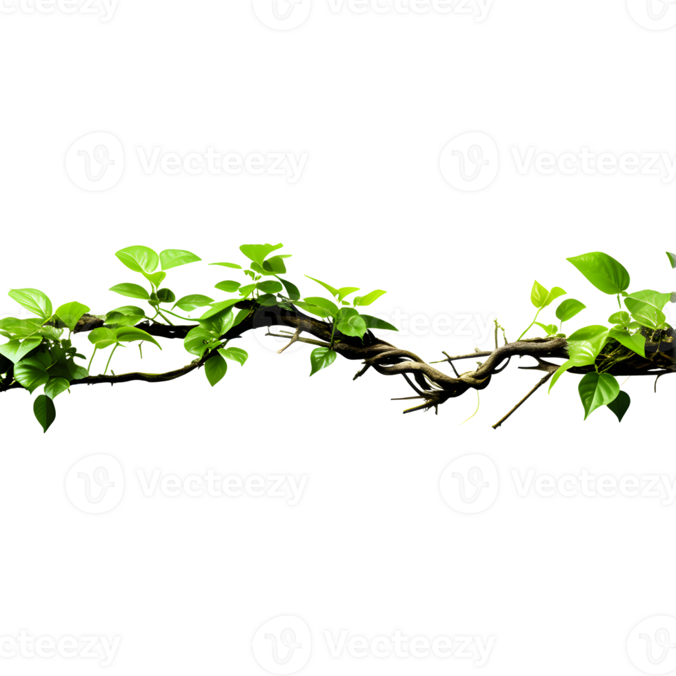 AI generated Jungle Branch with Thriving Plant Isolated on Transparent Background png