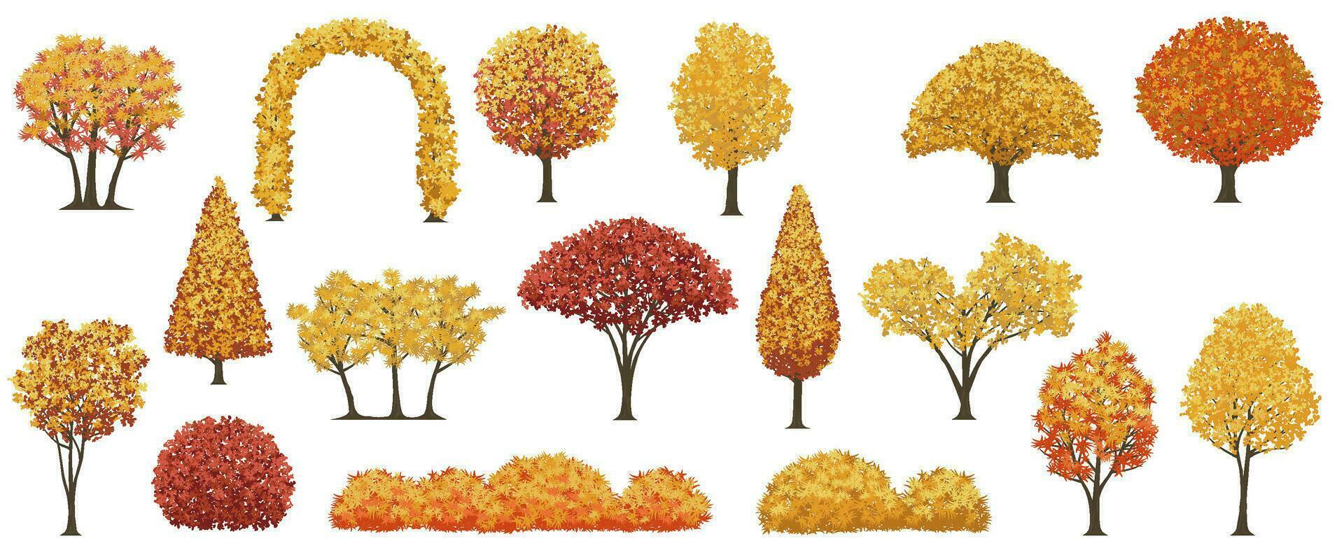 arboles y arbustos en otoño colores vector ilustración conjunto aislado en un blanco antecedentes.