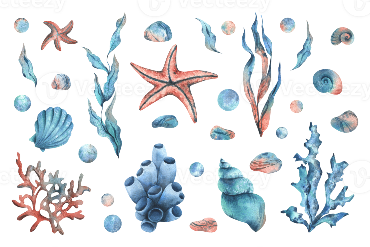 Underwater world clipart with sea animals starfish, shells, corals, sponge and algae, pebbles, bubbles. Hand drawn watercolor illustration. Big set objects on a isolated background. png