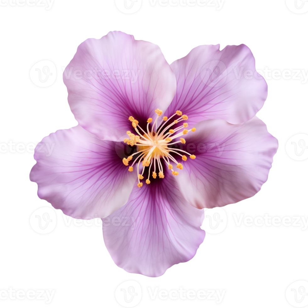 AI generated purple flower isolated on a transparent background png