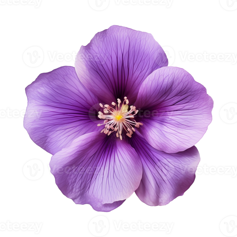 AI generated purple flower isolated on a transparent background png
