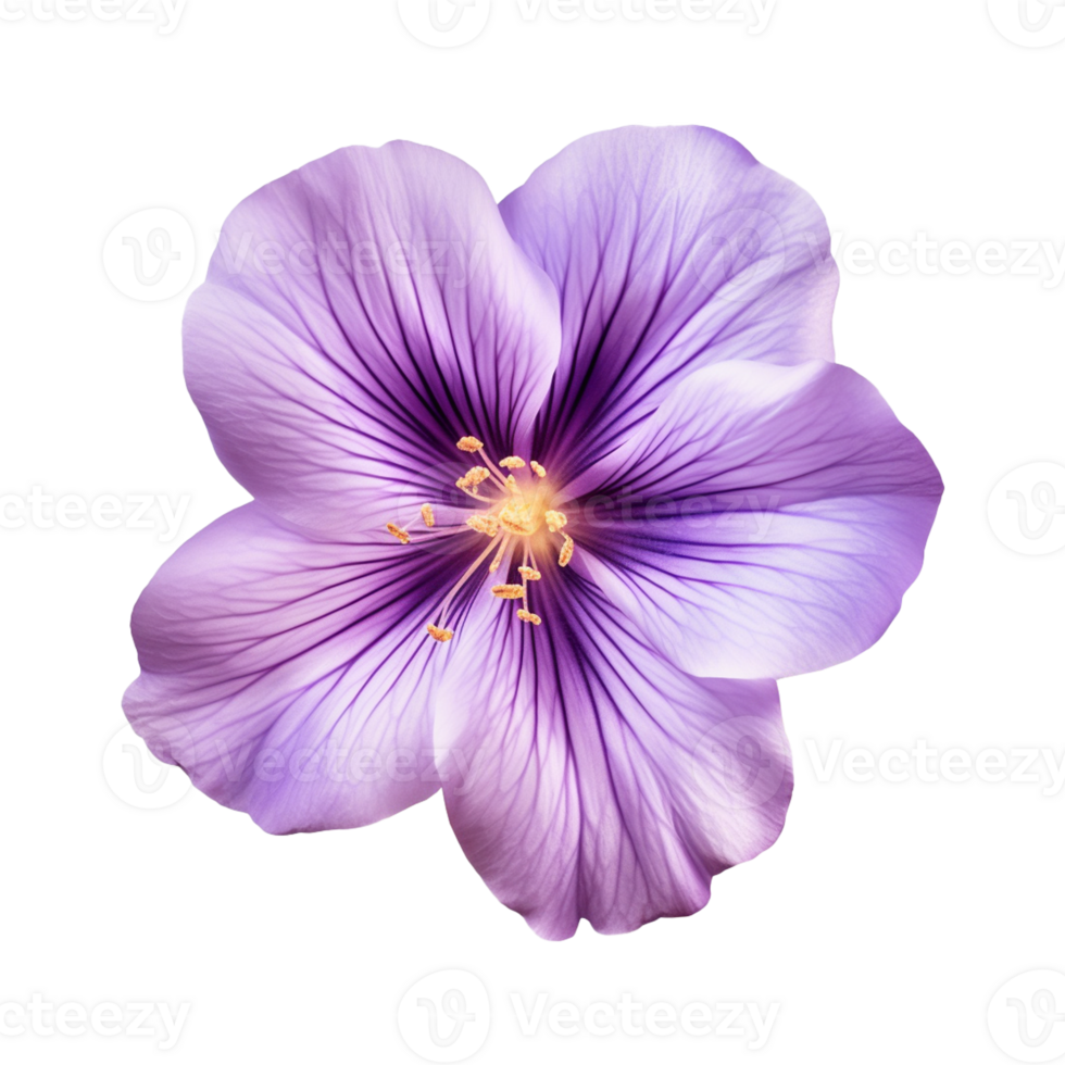 AI generated purple flower isolated on a transparent background png