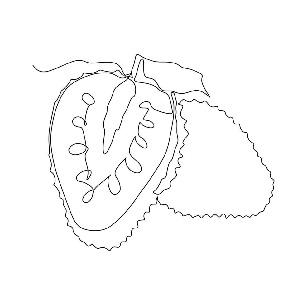 Continuous one line drawing of half and slice of strawberry. Vector illustration