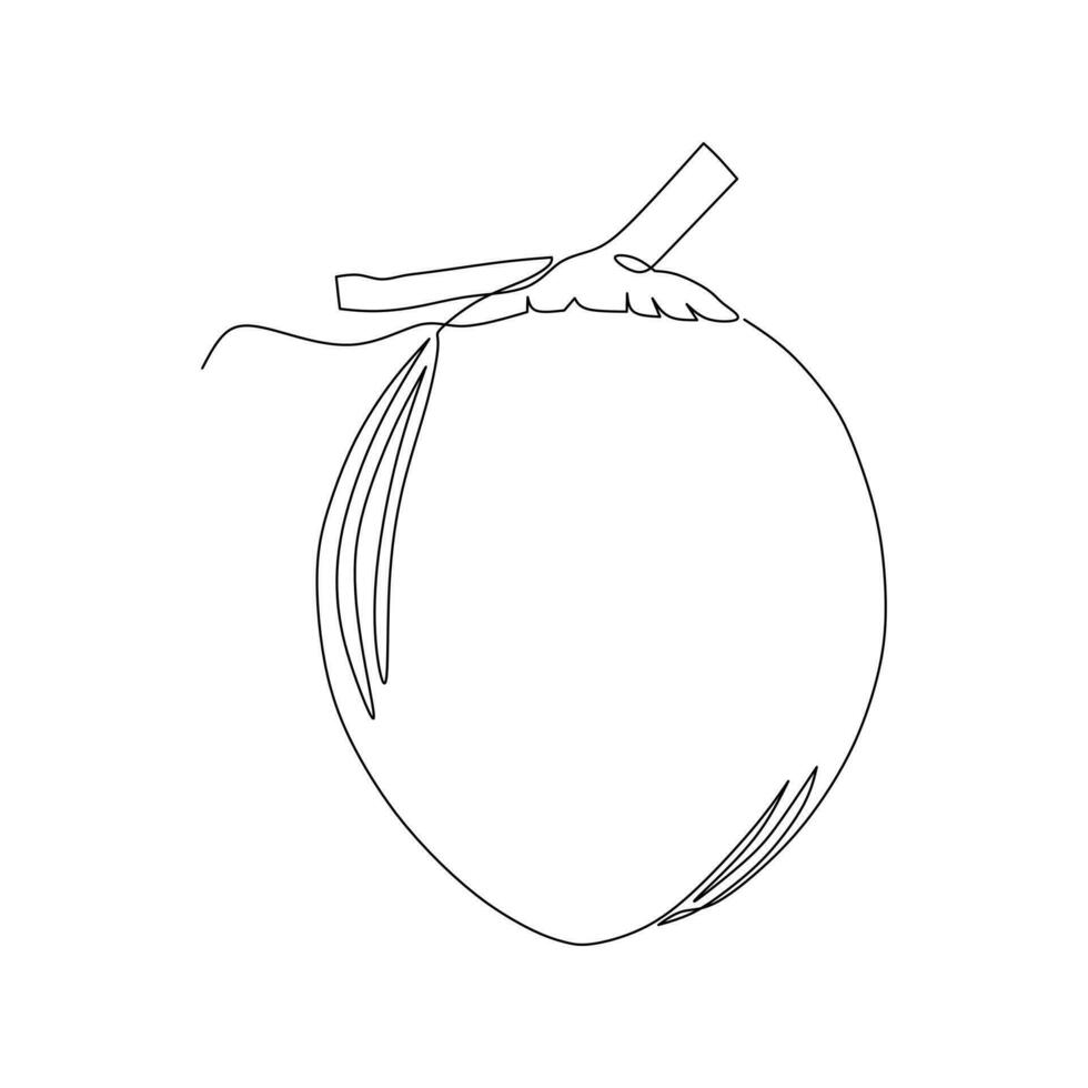 Continuous one line drawing of coconut fruit on white background. Vector illustration