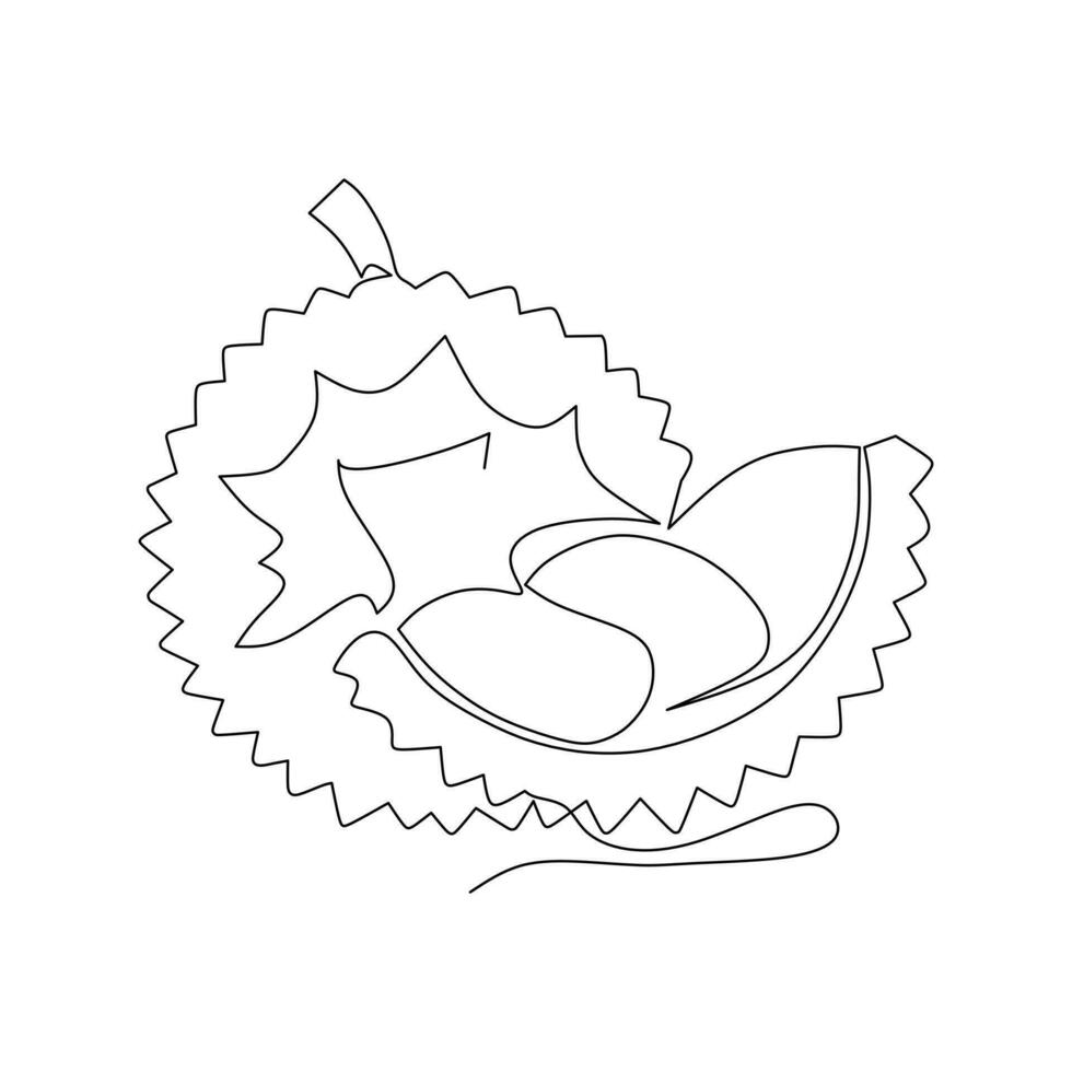 Continuous one line drawing of durian fruit. Vector illustration.