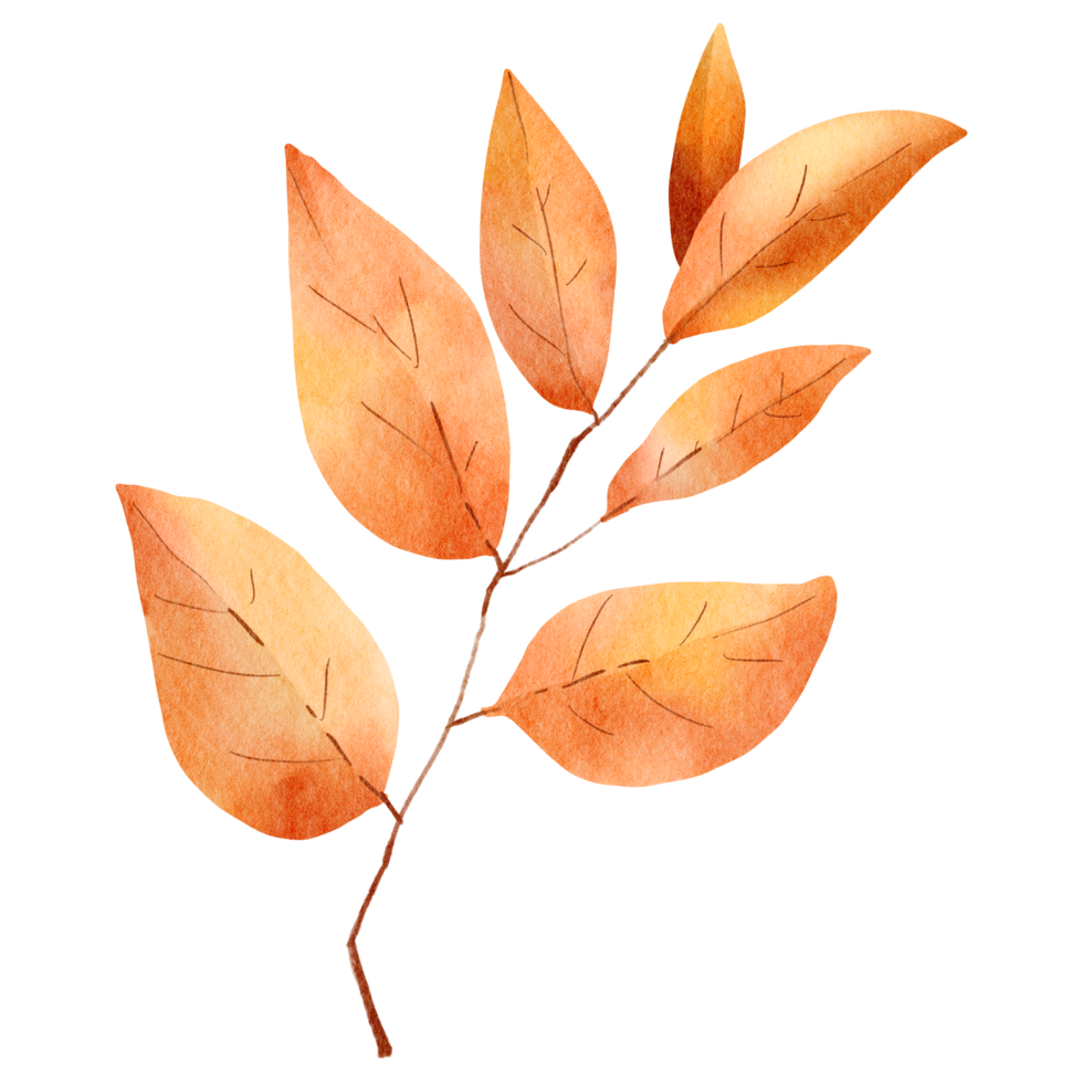Autumn Watercolor Leaves 4 png