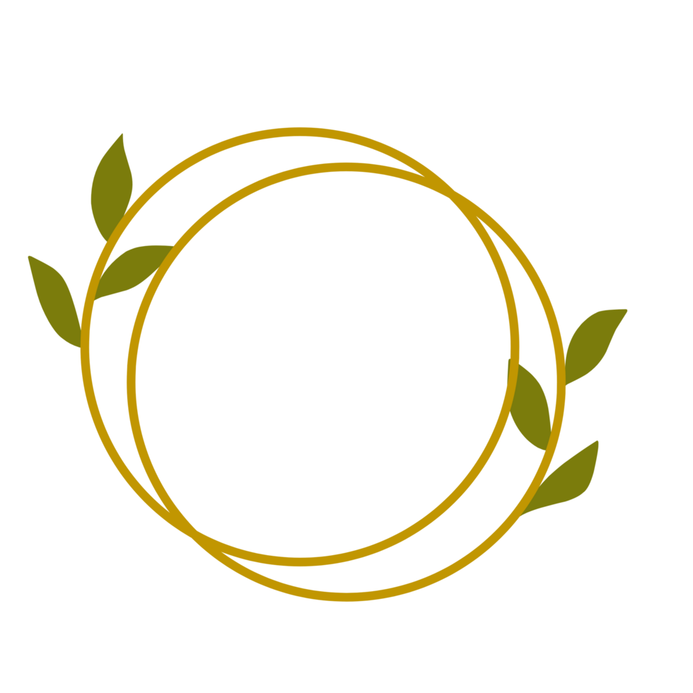 Gold botanical frame png