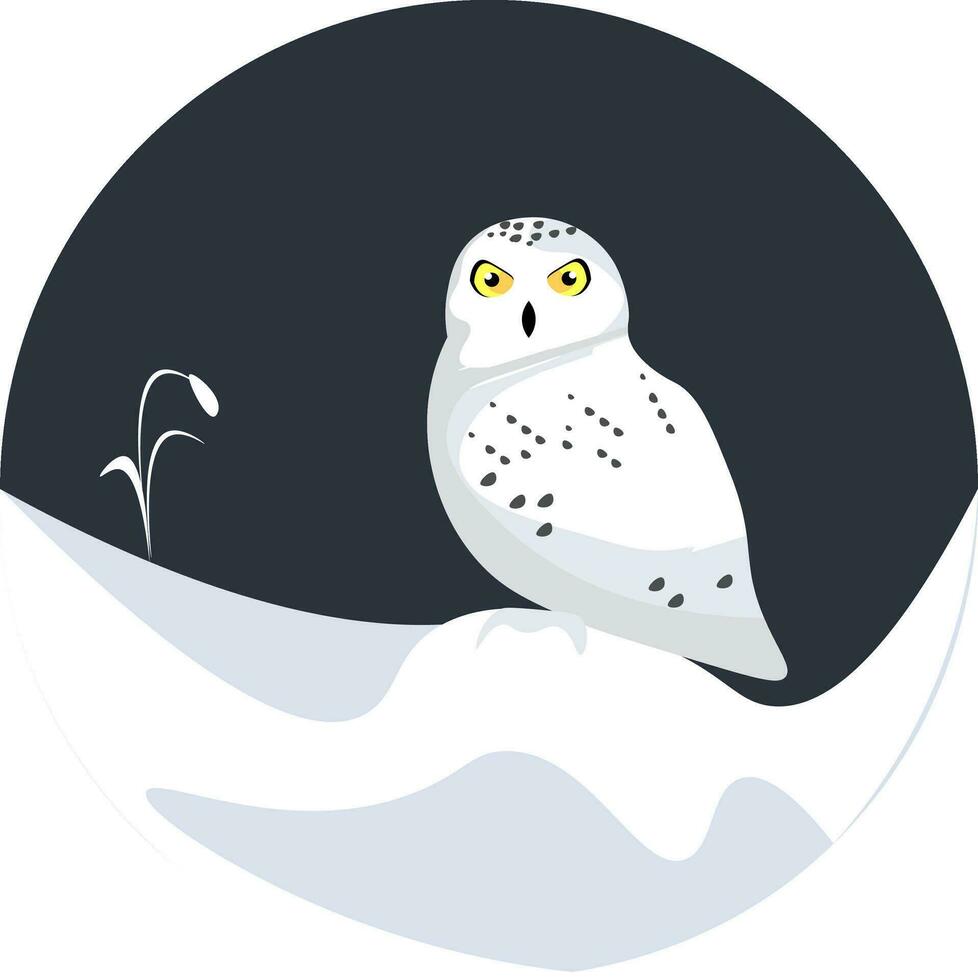 snowy owl in the snow vector illustration