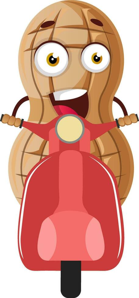 Peanut character on scooter vector