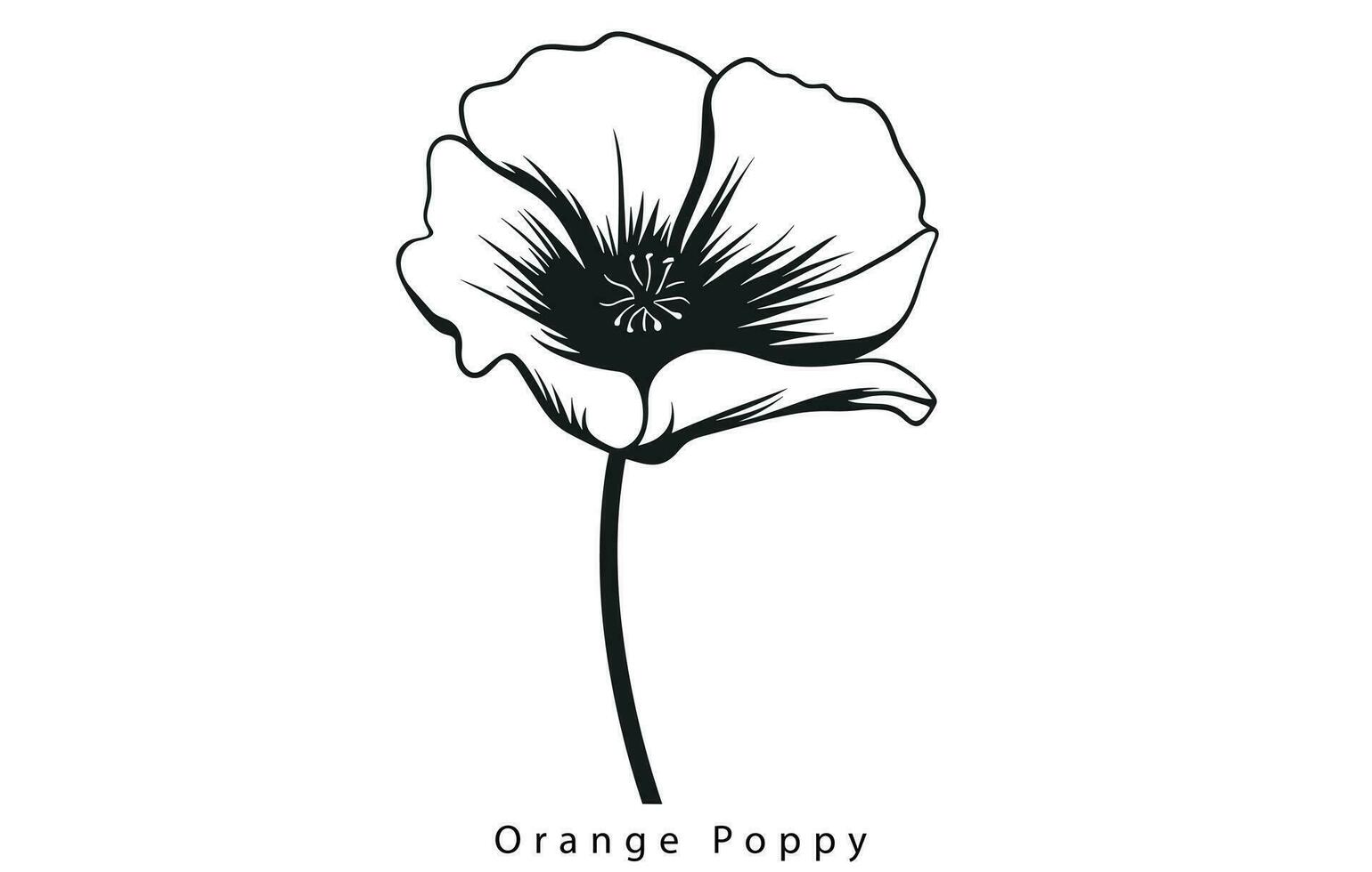 California Poppy, California Poppy Vector, Poppy Flower, Poppies Vector, Pretty Flower Vector, vector