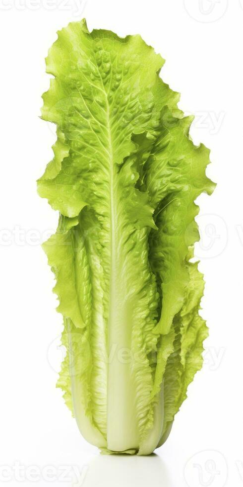AI generated Lettuce isolated on white background. AI Generated photo