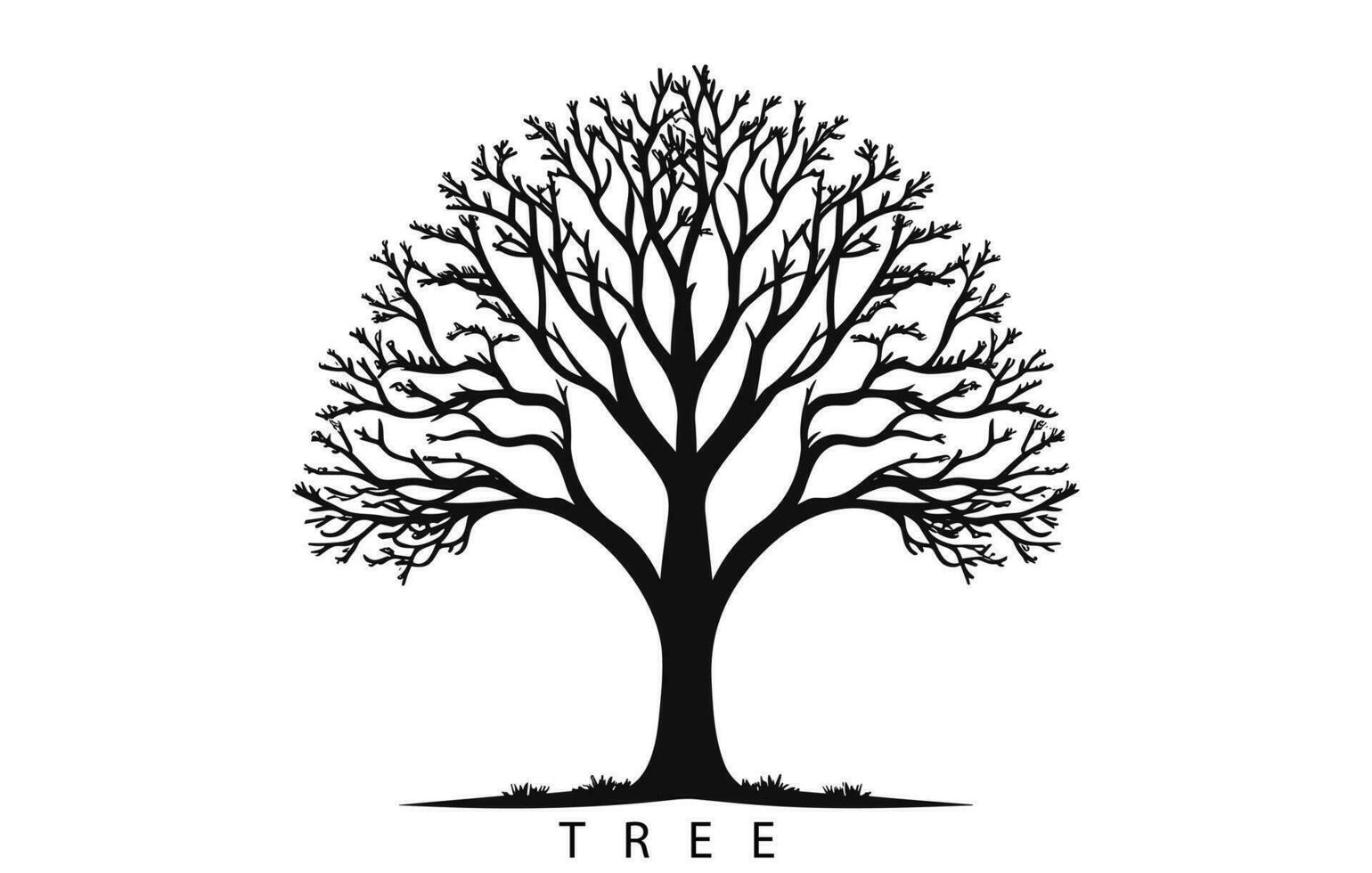 árbol siluetas vector ilustración, árbol silueta aislado en blanco antecedentes